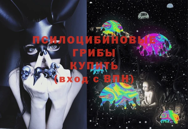 мдпв Волоколамск