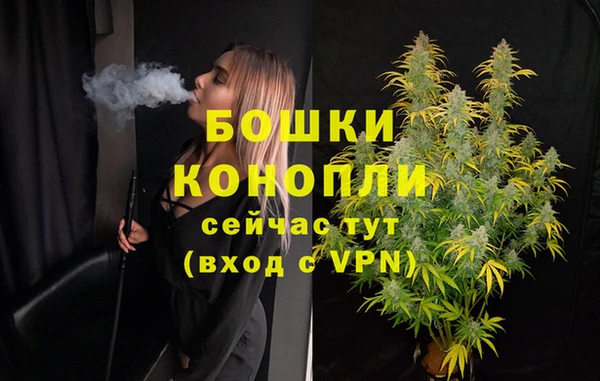 мдпв Волоколамск