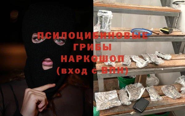прущая мука Вяземский